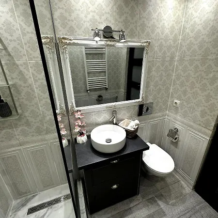 Grey Apartment Sibiu