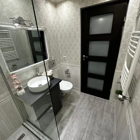 Apartment Grey Sibiu